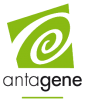 LOGO_antagene4