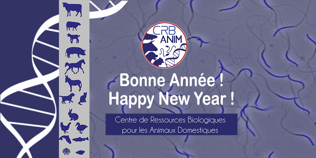 CRB-Anim vous souhaite une excellente année 2023 ! 