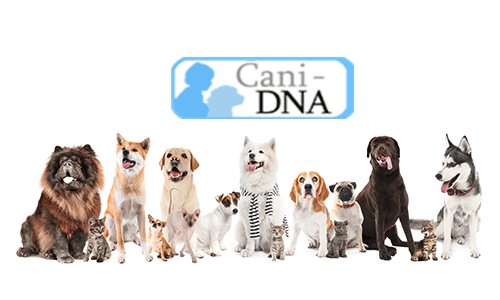 @CRB Cani DNA - Adobe stock