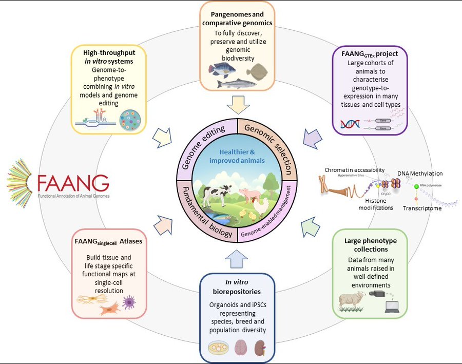 Biological resources for functional annotation of animal genomes.