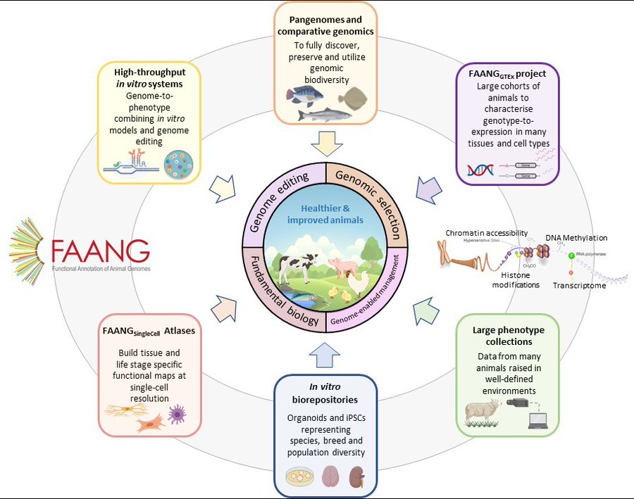 Des ressources biologiques pour l’annotation fonctionnelle des génomes animaux.